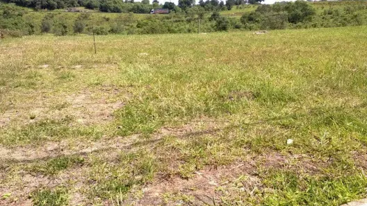 Lote/Terreno à venda, 1006m² no Jardim Plaza Athénée, Itu