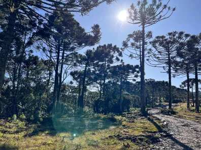 Lote/Terreno à venda, 20000m² no , Urubici