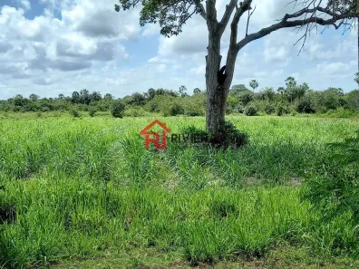 Fazenda/Sítio com 3 Quartos à venda, 219m² no , Magalhães de Almeida