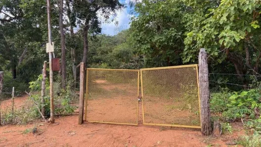 Fazenda/Sítio à venda, 10000m² no , Terenos