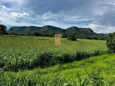 com 5 Quartos à venda, 2725m² no Centro, Monte Alegre de Goiás