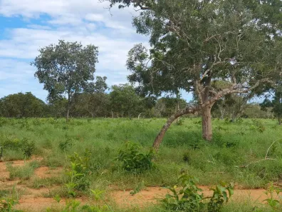 Fazenda/Sítio à venda, 4840000m² no , Cavalcante