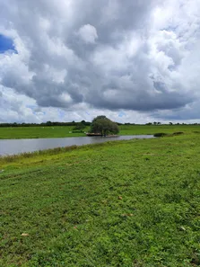 Fazenda/Sítio com 1 Quarto à venda, 170000m² no , Monte Alegre
