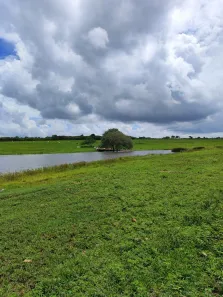 Fazenda/Sítio com 1 Quarto à venda, 200000m² no , Monte Alegre