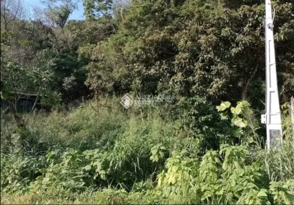 Lote/Terreno à venda, 800m² no Armação do Pântano do Sul, Florianópolis