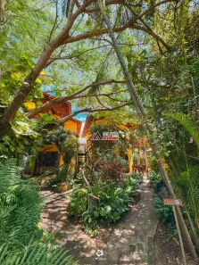 Imóvel Comercial com 8 Quartos à venda, 1560m² no Icaraí, Amontada