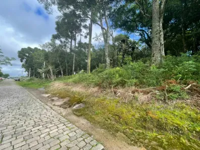 Lote/Terreno à venda, 455m² no Bela Vista, Caxias do Sul