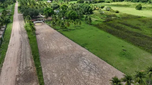Fazenda/Sítio com 6 Quartos à venda, 120000m² no , São José de Mipibu