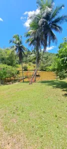 Fazenda/Sítio com 6 Quartos à venda, 77233m² no Distrito Industrial, Candeias