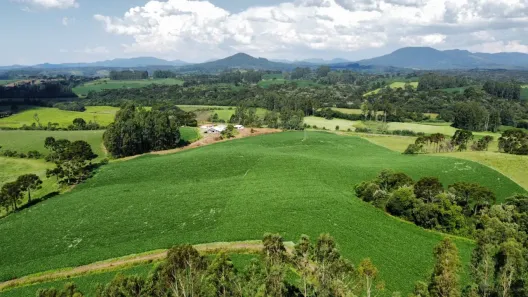 Fazenda/Sítio à venda, 232000m² no , Rio Rufino