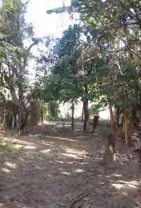 Fazenda/Sítio com 2 Quartos à venda, 100m² no São João, Betim
