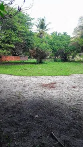 Lote/Terreno à venda, 2900000m² no Panaquatira, São José de Ribamar