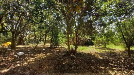 Lote/Terreno à venda, 1500m² no Village Campinas, Campinas