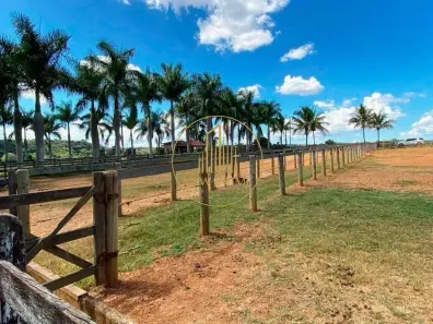 Fazenda/Sítio com 3 Quartos à venda, 205m² no Centro, Paraopeba