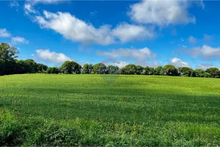 Fazenda/Sítio à venda, 64175m² no Bom Recreio, Passo Fundo