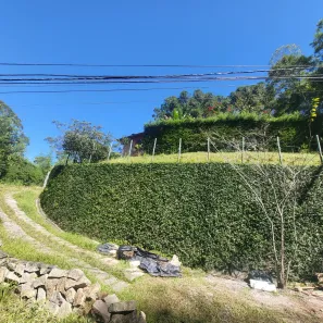 Lote/Terreno com 1 Quarto à venda, 1000m² no Mury, Nova Friburgo