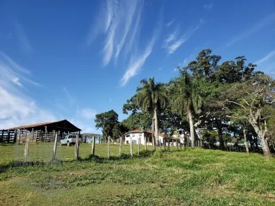 Fazenda/Sítio com 4 Quartos à venda, 10m² no , Ipeúna