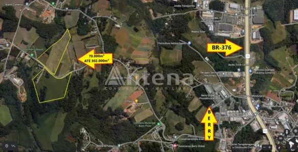 Lote/Terreno à venda, 230000m² no Zacarias, São José dos Pinhais