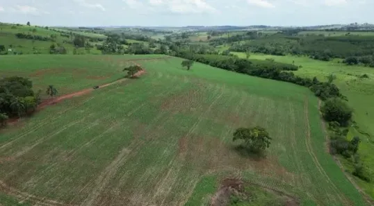 Fazenda/Sítio com 4 Quartos à venda, 968000m² no Centro, Avaré