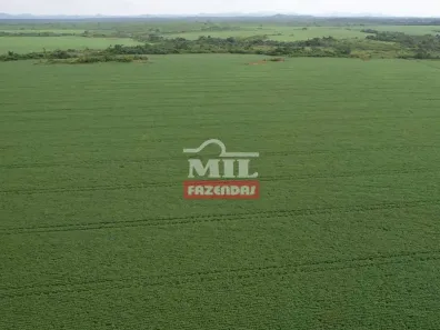 Fazenda/Sítio à venda, 500m² no , Santa Maria das Barreiras