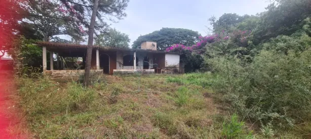Fazenda/Sítio com 3 Quartos à venda, 384m² no Jardim Patriarca, Ribeirão Preto