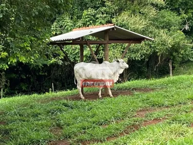 Fazenda/Sítio à venda, 500m² no , Bela Vista de Goiás