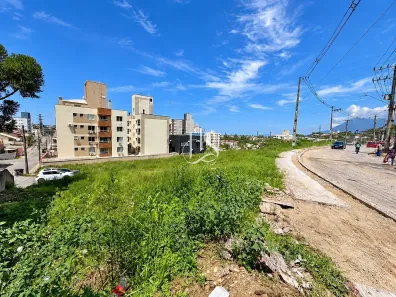 Lote/Terreno à venda, 1110m² no Pagani, Palhoça