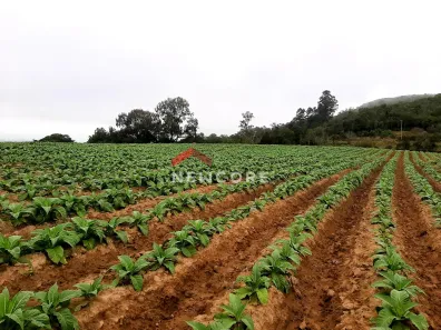 Lote/Terreno à venda, 120000m² no , Mariana Pimentel