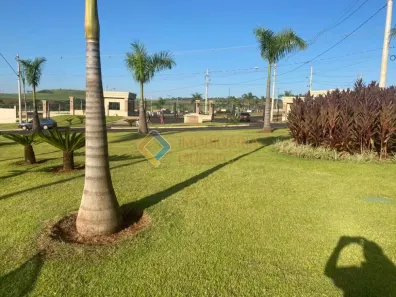 Lote/Terreno à venda, 250m² no Recreio Anhangüera, Ribeirão Preto