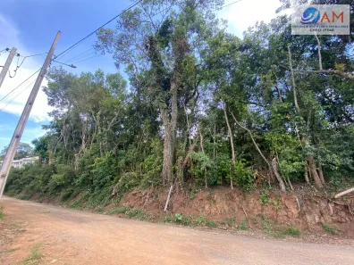 Lote/Terreno à venda, 360m² no Balsa Nova, Balsa Nova