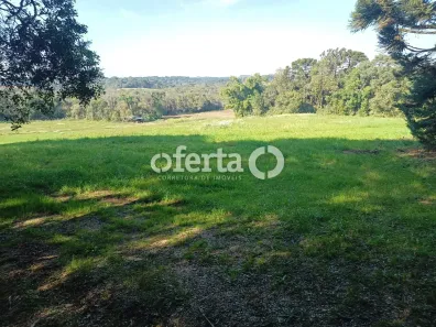 Fazenda/Sítio à venda, 21374m² no Área Rural de Araucária, Araucária