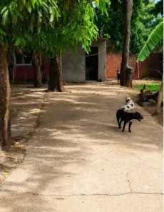 Casa com 2 Quartos à venda, 180m² no Recanto das Emas, Brasília