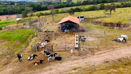 Fazenda/Sítio com 3 Quartos à venda, 670000m² no Centro, Alexânia