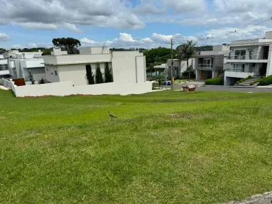 Lote/Terreno à venda, 851m² no Estrela, Ponta Grossa