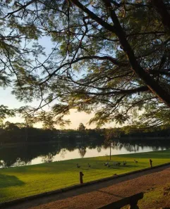 Lote/Terreno à venda, 1000m² no São Joaquim, Vinhedo