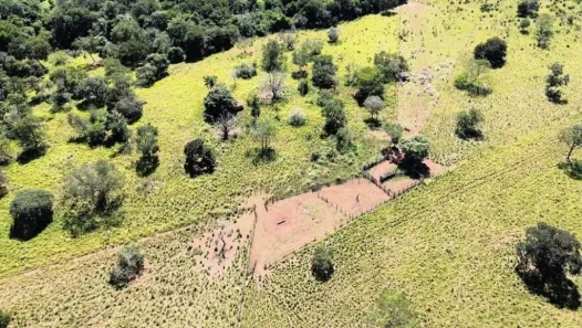 Fazenda/Sítio à venda, 98m² no , Guiratinga