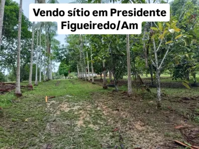 Fazenda/Sítio à venda, 250m² no , Presidente Figueiredo