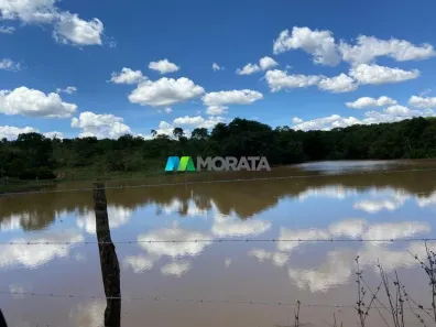Fazenda/Sítio com 1 Quarto à venda, 1780m² no Centro, Curvelo