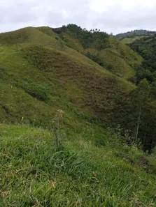Fazenda/Sítio à venda, 16940000m² no , Rio Branco do Sul