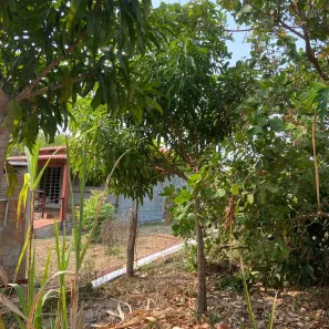 Fazenda/Sítio com 2 Quartos à venda, 1400m² no Nova Esperança, Cuiabá