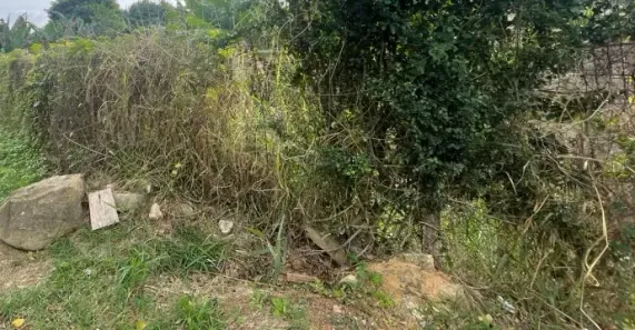 Lote/Terreno à venda, 710m² no Parque dos Pomares, Campinas