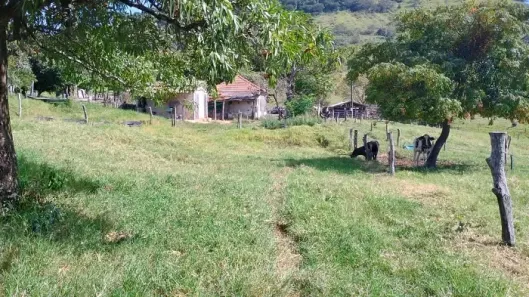 Fazenda/Sítio à venda, 338800m² no , Grandes Rios