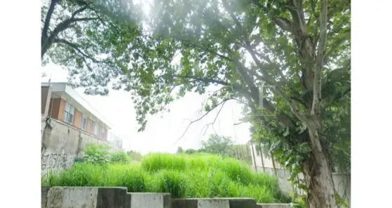 Lote/Terreno à venda, 1600m² no Boaçava, São Paulo