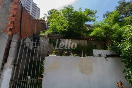 Lote/Terreno para alugar, 250m² no Bosque da Saúde, São Paulo