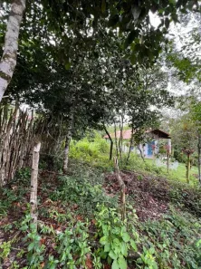 Lote/Terreno à venda, 499m² no , Guaramiranga