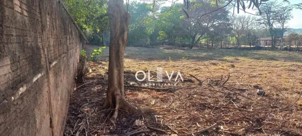 Fazenda/Sítio com 1 Quarto à venda, 1018m² no Residencial Cavalari (Zona Rural), São José do Rio Preto