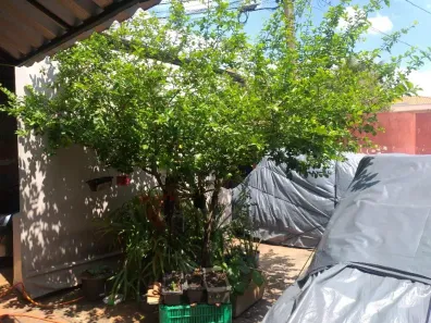 Casa com 3 Quartos à venda, 225m² no Vila Bertini, Americana
