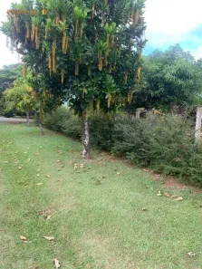 Lote/Terreno à venda, 1001m² no Residencial Primavera, Salto