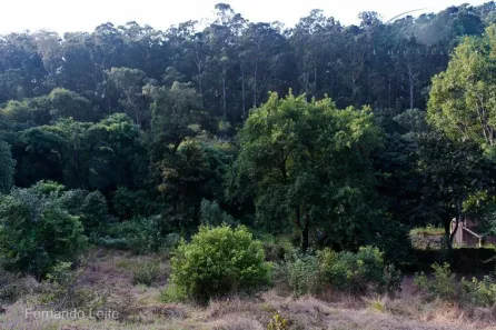 Lote/Terreno à venda, 15631m² no Capela, Vinhedo
