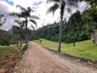 Lote/Terreno à venda, 20000m² no Barra do Rio Cerro, Jaraguá do Sul